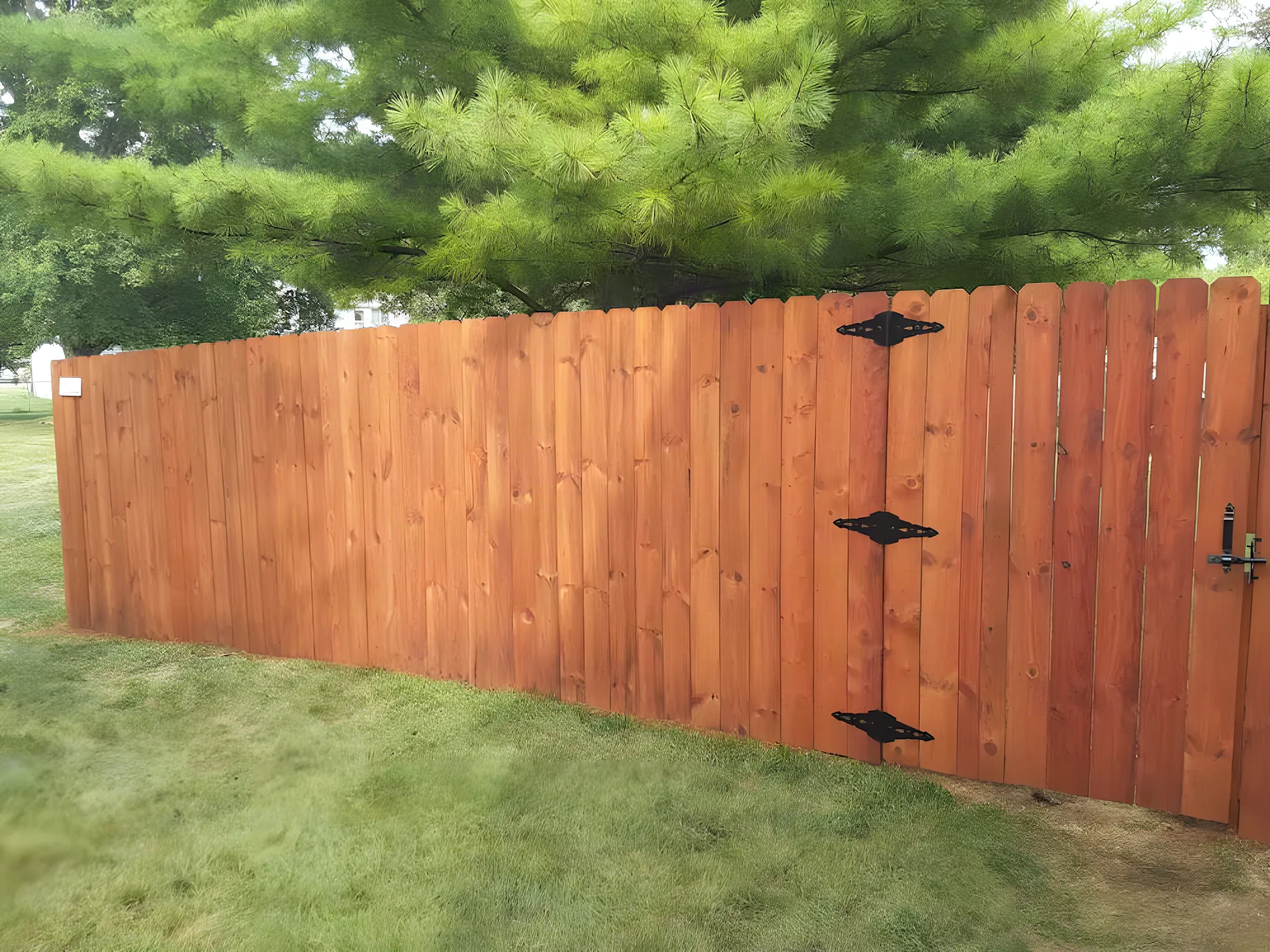 A cedar privacy fence stained by ALL IN Painting